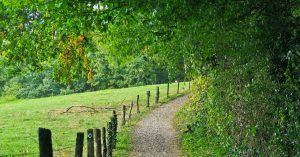 Wanderung mit Besichtigung des Gnadenhof Arche in W rselen Euchen